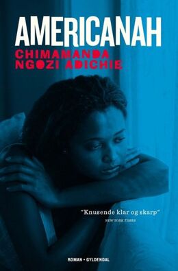 Chimamanda Ngozi Adichie: Americanah : roman